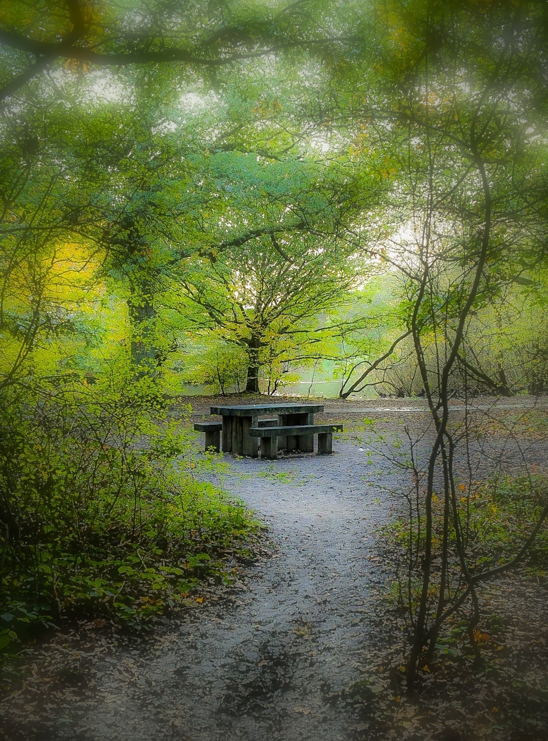 Park Bench